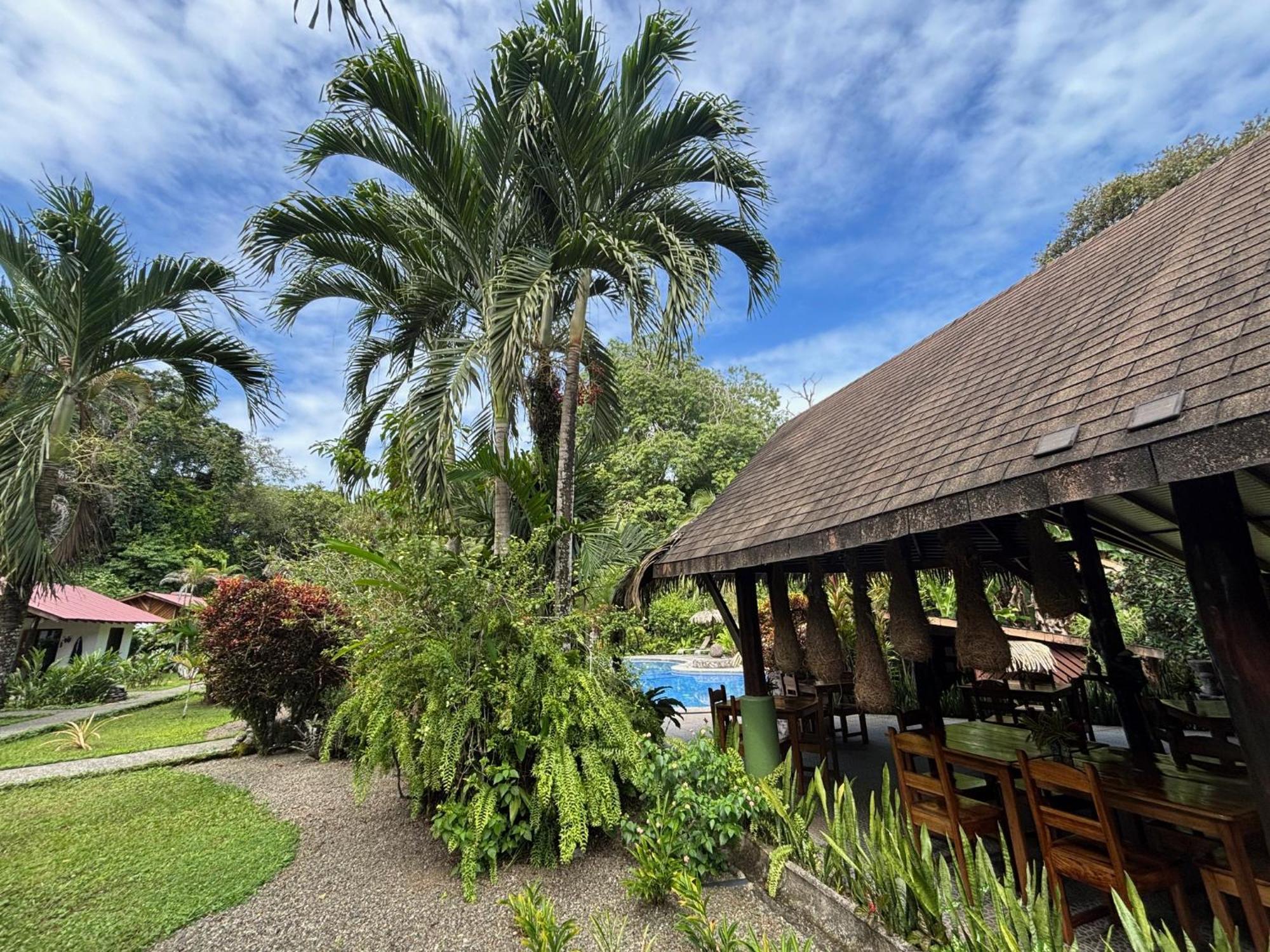 Hotel Suizo Loco Lodge & Resort カウイータ エクステリア 写真