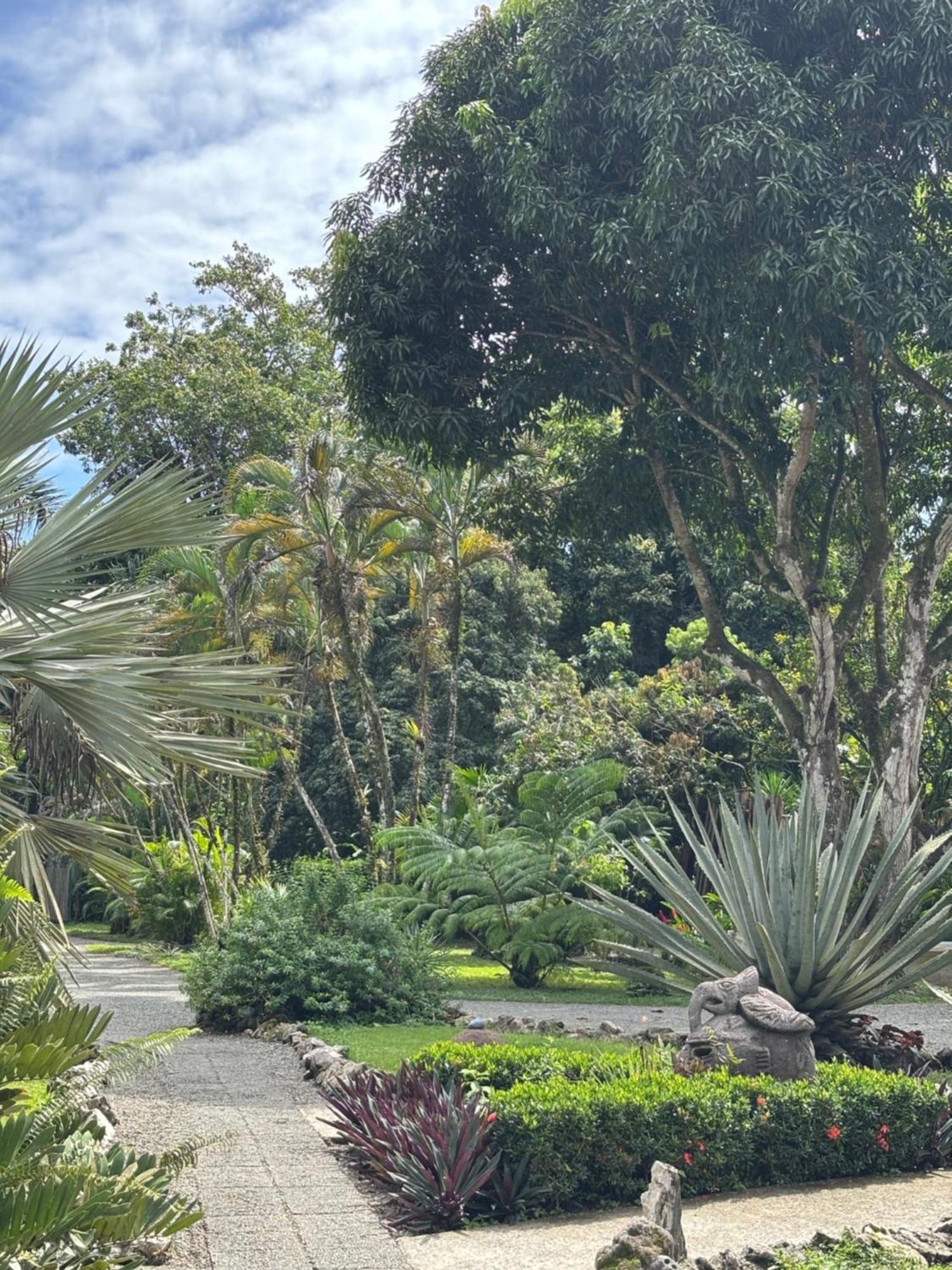 Hotel Suizo Loco Lodge & Resort カウイータ エクステリア 写真