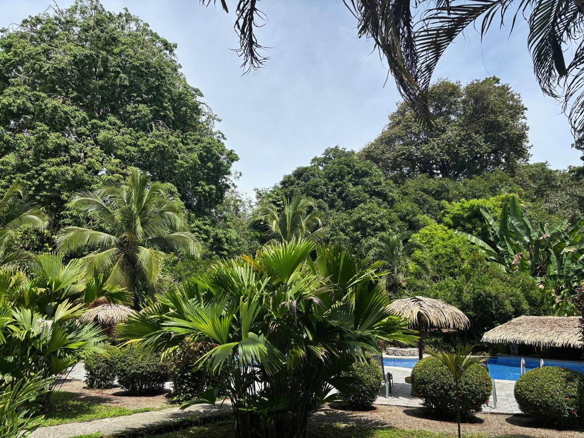 Hotel Suizo Loco Lodge & Resort カウイータ エクステリア 写真