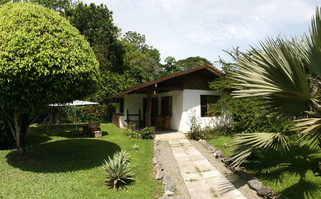 Hotel Suizo Loco Lodge & Resort カウイータ 部屋 写真